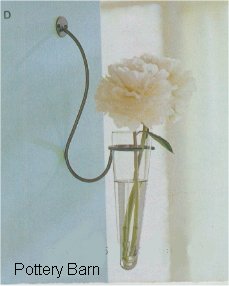 Simple wall vase, from Pottery Barn catalog
